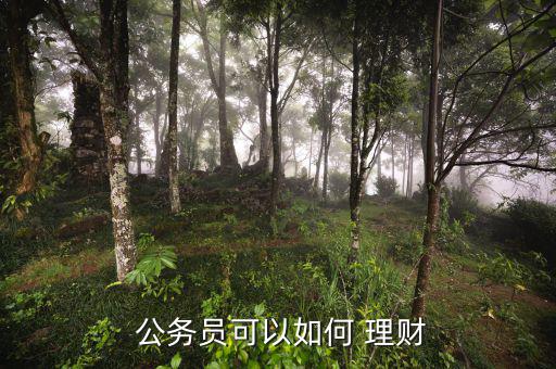 適合公務員怎么投資理財,你知道我從公務員辭職嗎?