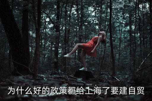 為什么要設(shè)立上海自貿(mào)區(qū)，上海自貿(mào)區(qū)成立的目的