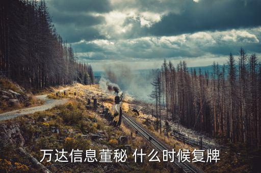 萬達(dá)信息董秘 什么時(shí)候復(fù)牌
