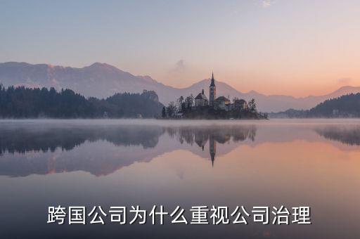 為什么要公司治理，索尼公司為何要進(jìn)行公司治理改革