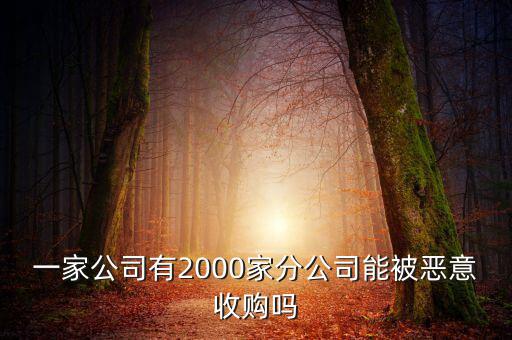 初靈信息為什么要并購，一家公司有2000家分公司能被惡意收購嗎