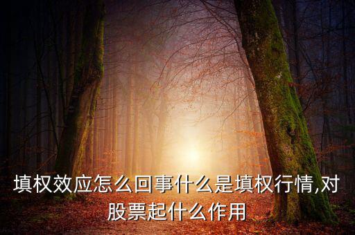 填權(quán)效應(yīng)怎么回事什么是填權(quán)行情,對股票起什么作用