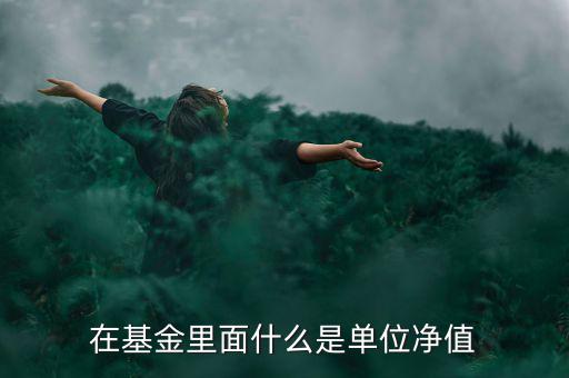 什么是基金單位凈值，基金單位凈值是什么意思