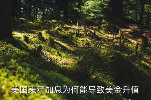 美聯(lián)儲加息為什么會使美元升值，美國來年加息為何能導致美金升值
