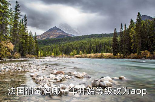 法國發(fā)生什么改革，法國葡萄酒哪一年開始等級改為aop