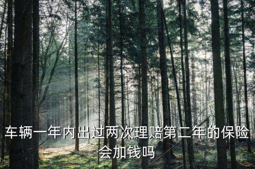 一年中兩次事故理培有什么影響，車輛一年內(nèi)出過兩次理賠第二年的保險會加錢嗎