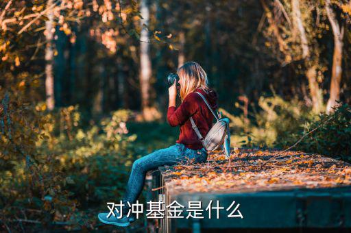 對沖基金是什么意思，什么是對沖基金對沖基金指的是什么