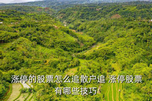  漲停的股票怎么追散戶(hù)追 漲停股票有哪些技巧