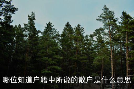 哪位知道戶(hù)籍中所說(shuō)的散戶(hù)是什么意思