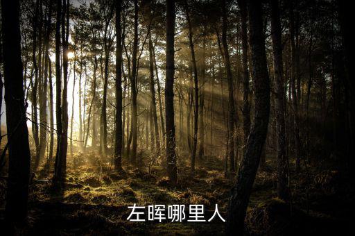 左暉靠什么起家，左暉與左東華什么關系