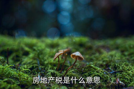 房地產(chǎn)稅是什么意思，房地產(chǎn)稅是什么意思