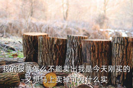 我的股票怎么不能賣出我是今天剛買的又想馬上賣掉可為什么實(shí)