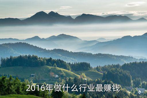 2016年做什么行業(yè)最賺錢(qián)