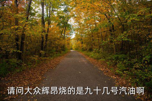 什么車燒90號(hào)汽油，請(qǐng)問(wèn)大眾輝昂燒的是九十幾號(hào)汽油啊