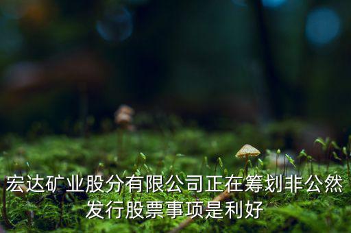 宏達(dá)礦業(yè)什么重大事項(xiàng)，請(qǐng)教600687停盤說(shuō)是因?yàn)楹藢?shí)公司相關(guān)重大事項(xiàng)這個(gè)重大事項(xiàng)有知