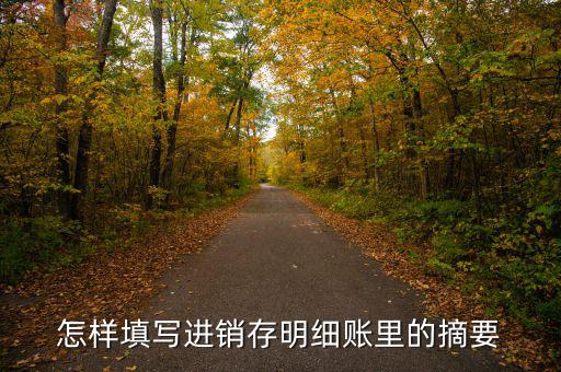 購(gòu)入存貨摘要是什么，如果是進(jìn)貨那么存貨分類帳上的摘要寫什么