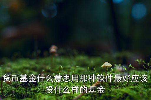 貨幣基金t什么意思，貨幣基金贖回時間T3是什么意思