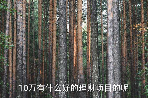 10萬(wàn)做什么理財(cái)好，10萬(wàn)有什么好的理財(cái)項(xiàng)目的呢