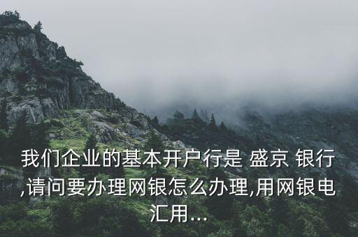我們企業(yè)的基本開戶行是 盛京 銀行,請問要辦理網銀怎么辦理,用網銀電匯用...