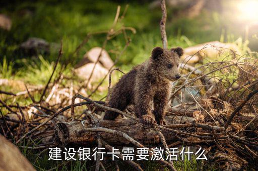 建行信用卡激活需要什么，激活信用卡需要準(zhǔn)備什么東西身份證和戶口本