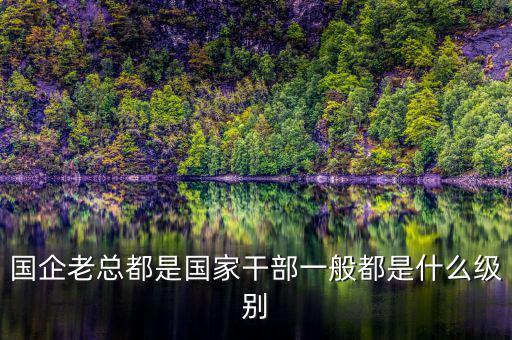 中交地產(chǎn)總經(jīng)理屬于什么級別干部，國企老總都是國家干部一般都是什么級別