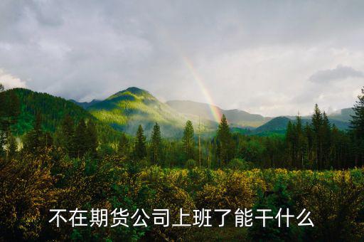 去期貨公司能做什么，本人去某期貨公司總部適合做什么