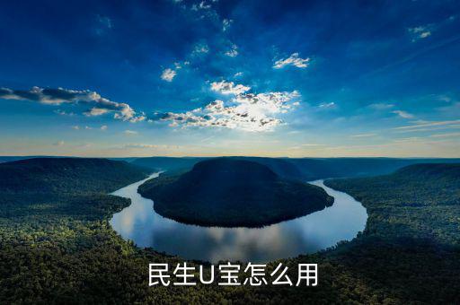  民生U寶怎么用