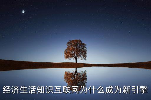 經(jīng)濟(jì)生活知識(shí)互聯(lián)網(wǎng)為什么成為新引擎