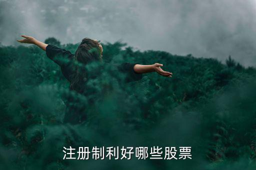 什么股票注冊(cè)制，IPO注冊(cè)制是什么意思