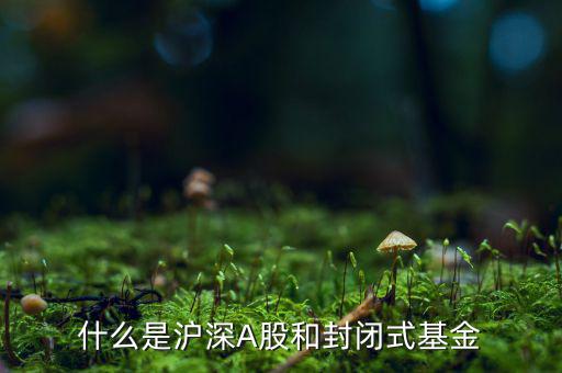 什么是滬深A(yù)股和封閉式基金