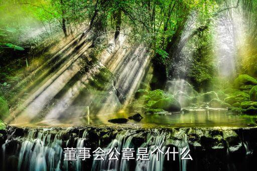 什么是董事會(huì)印章，完美國際魔方董事會(huì)印章有什么用