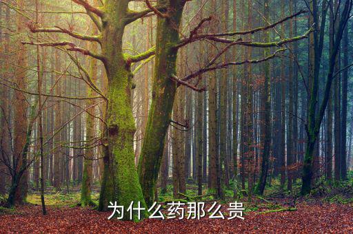 為什么藥價(jià)那么貴，醫(yī)藥費(fèi)為什么那么貴