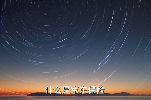 京東品質(zhì)險(xiǎn)是什么意思，京東交通險(xiǎn)是什么意思