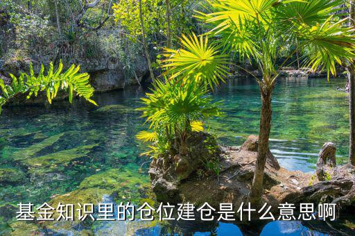基金建倉什么意思，建倉是什么意思