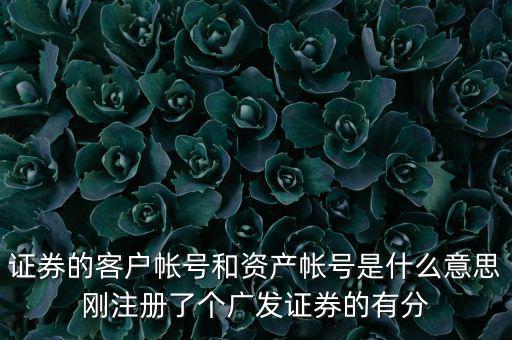 申萬(wàn)宏源資產(chǎn)賬號(hào)是什么，我知道瀘A股東的賬號(hào)怎么查資金賬號(hào)申萬(wàn)宏源