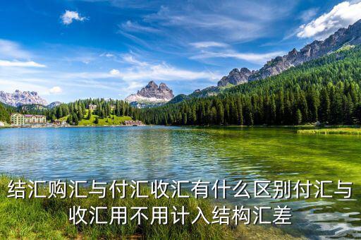 結(jié)匯購匯與付匯收匯有什么區(qū)別付匯與收匯用不用計(jì)入結(jié)構(gòu)匯差