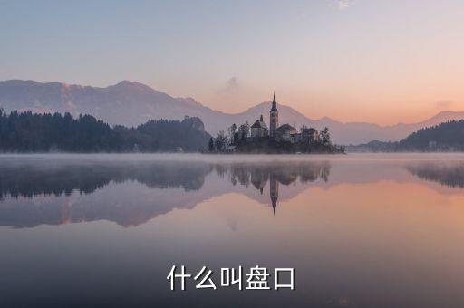 大盤口什么意思，大盤中的盤口是什么意思啊