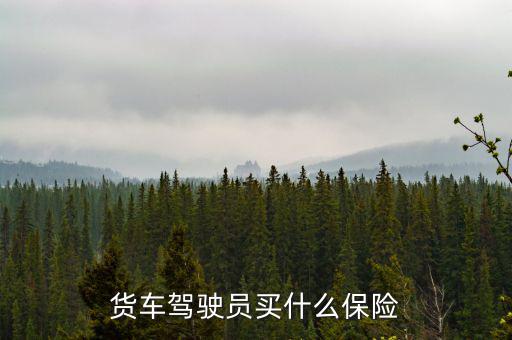 貨車司機買什么保險好，大貨車買什么保險最好