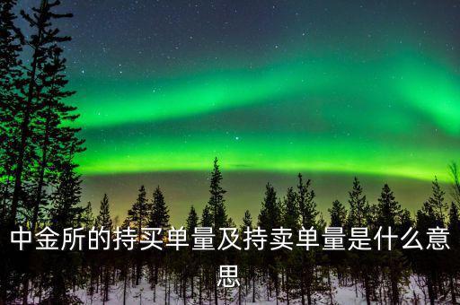 持買單量是什么意思，持賣單什么意思