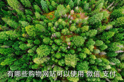 美麗說怎么用微信支付,家樂福全國門店均已聯(lián)網(wǎng)微信支付