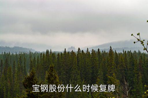 寶鋼什么時(shí)候復(fù)牌，武鋼和寶鋼什么時(shí)候完成重組