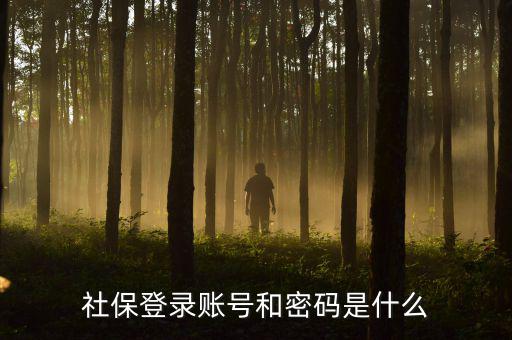社保查詢個人賬戶密碼是什么，社保登錄賬號和密碼是什么