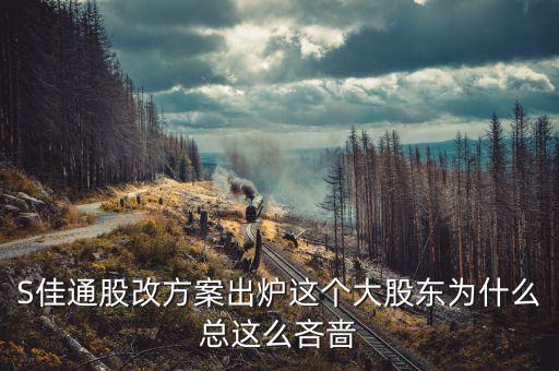 s佳通為什么不股改，s佳通的流通股這么少為什么不股改全流通