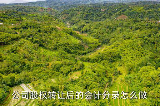 拆股怎么記賬,股東變更如何進(jìn)行會(huì)計(jì)分錄(1)