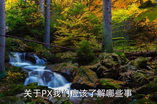 px項(xiàng)目是干什么的，關(guān)于PX我們應(yīng)該了解哪些事