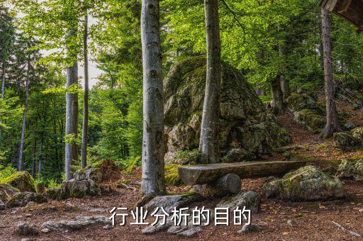 為什么要進行行業(yè)分析，為什么要進行市場分析
