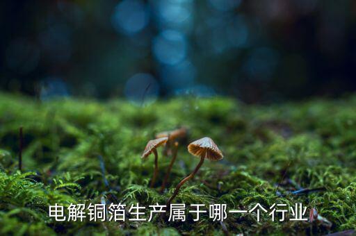 電子銅箔屬于什么行業(yè)，電解銅箔生產(chǎn)屬于哪一個(gè)行業(yè)