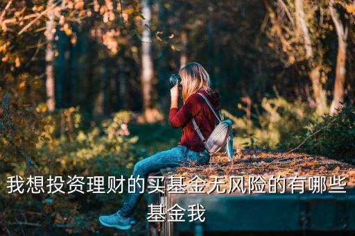 買(mǎi)什么基金是沒(méi)有風(fēng)險(xiǎn)，什么樣的基金沒(méi)有太大的風(fēng)險(xiǎn)