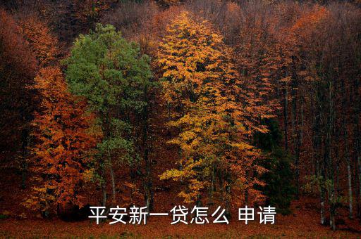  平安新一貸怎么 申請