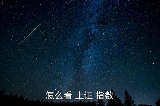 怎么查以前的上證指數,上證交易所公布的普市指數為加權數